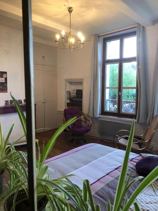 L'Omerade: Appartement De Charme Dans Une Maison Audomaroise Сент-Омер Екстер'єр фото